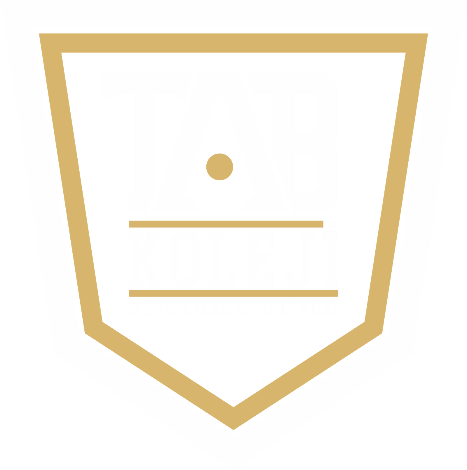 Okul Logosu